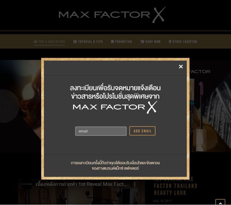 MaxFactor