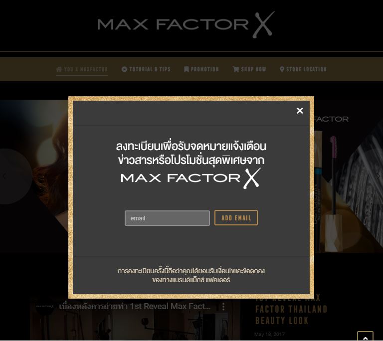 MaxFactor