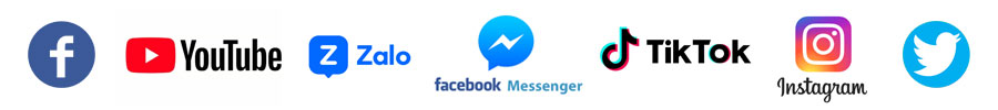 การตลาดดิจิทัลเวียดนาม-social
