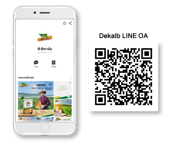 Dekalb-LINE-OA